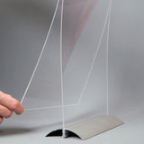 Swing Wing